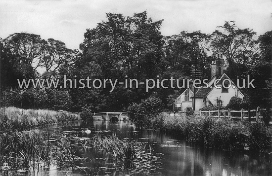 The River and Bridge, Hatfield Peverel, Essex. c.1920's